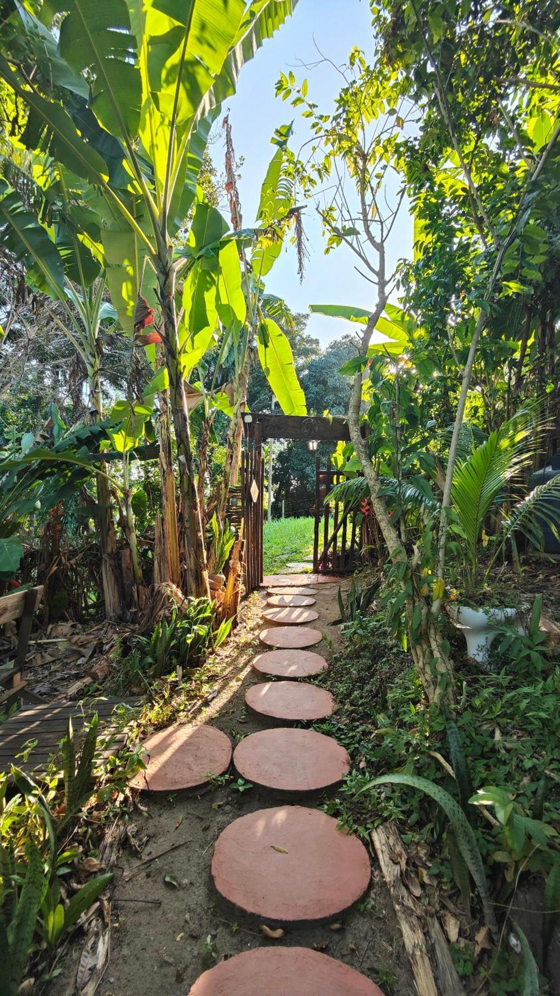 Eco Hostel Bosque Di Barro Velha Boipeba Ngoại thất bức ảnh